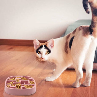 Gamelle anti glouton chat calico