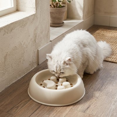 Gamelle anti glouton Chat chat blanc poile blanc
