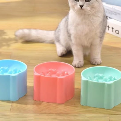 Gamelle anti glouton chat ensemble de couleurs