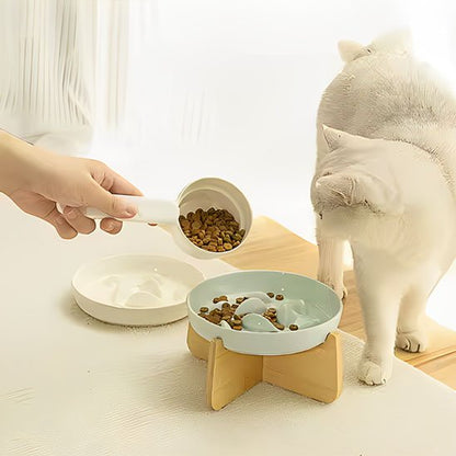 gamelle anti glouton chat et main qui donne a manger