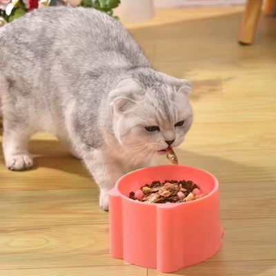 Gamelle anti glouton chat gris pale