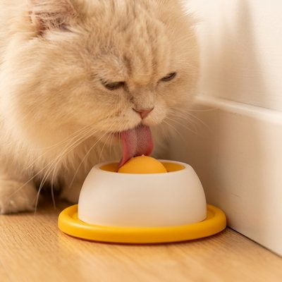 Gamelle anti glouton Chat jaune et chat beige