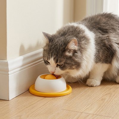 Gamelle anti glouton Chat jaune et chat blanc gris