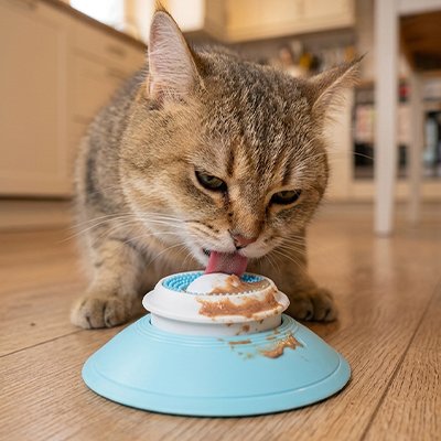 Gamelle anti glouton Chat qui mange