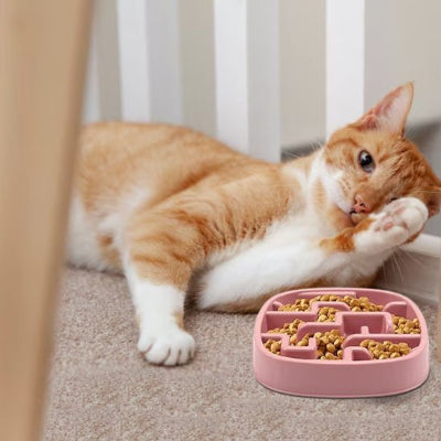 Gamelle anti glouton chat rose avec chat roux et blanc