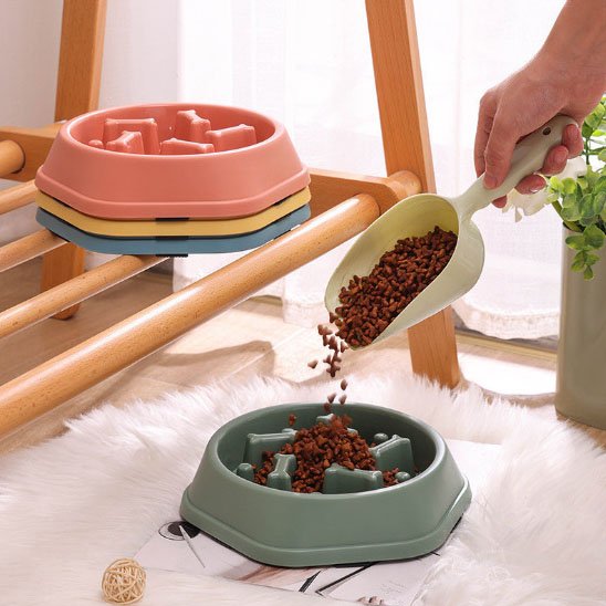 Gamelle anti glouton chat rose et vert