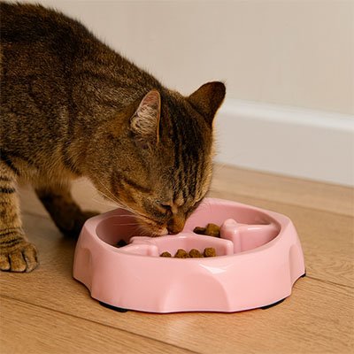 Gamelle anti glouton Chat rose ronde