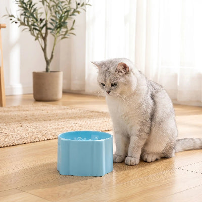 gamelle anti glouton chat variante bleu