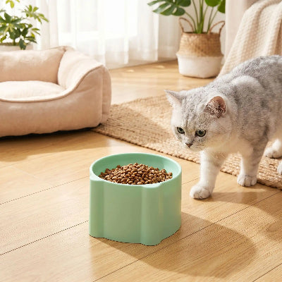 gamelle anti glouton chat variante verte