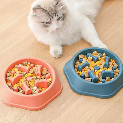 Gamelle anti glouton chat vert et rose