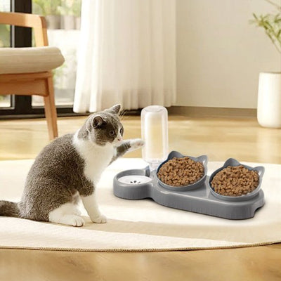 Gamelle avec chat gris