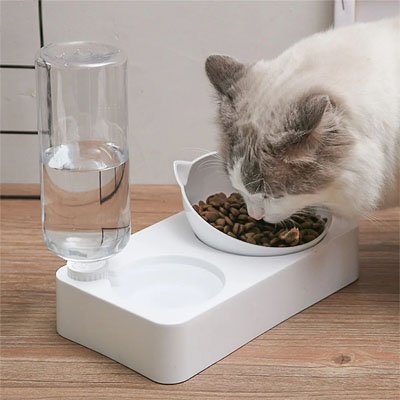 Gamelle Chat blanc avec chat