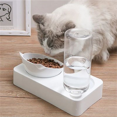 Gamelle Chat blanc et chat siamois