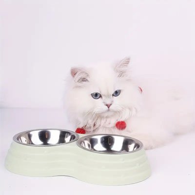 Gamelle chat blanche et chat blanc