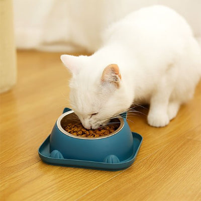 Gamelle chat bleu avec chat blanc