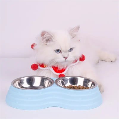 Gamelle chat bleu chat blanc