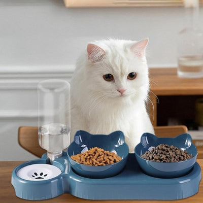 Gamelle chat bleu et beau chat blanc