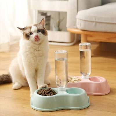 Gamelle chat bleu rose chat blanc brun
