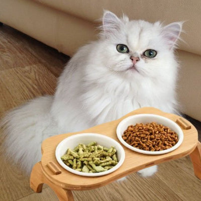 gamelle chat bois surelevee chat blanc