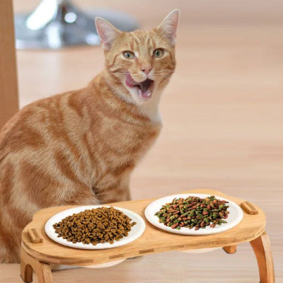 Gamelle chat bois surelevee chat roux