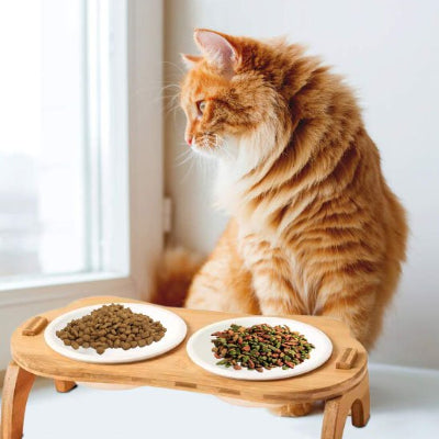 gamlle chat duo bois surelevee chat roux