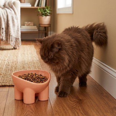 Gamelle Chat et chat gris foncé