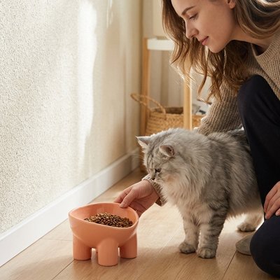 Gamelle Chat et chat gris