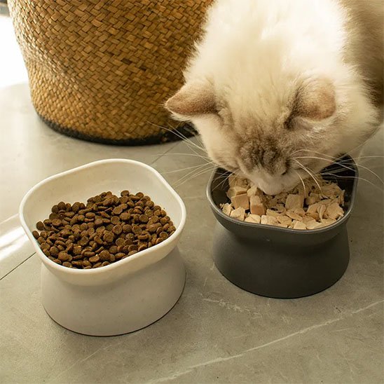 Gamelle chat gris et blanc