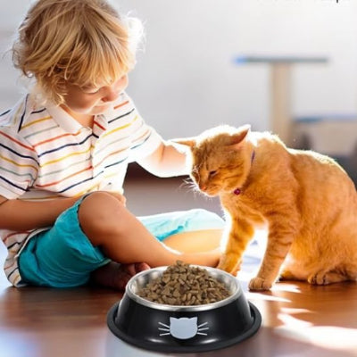Gamelle chat noir avec chat roux et enfant