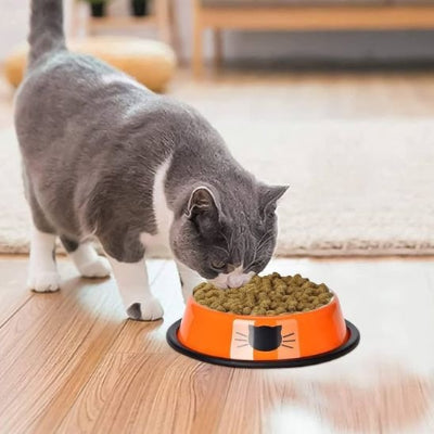 Gamelle chat orange et chat gris blanc