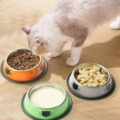 Gamelle chat orange verte grise chat gris pale