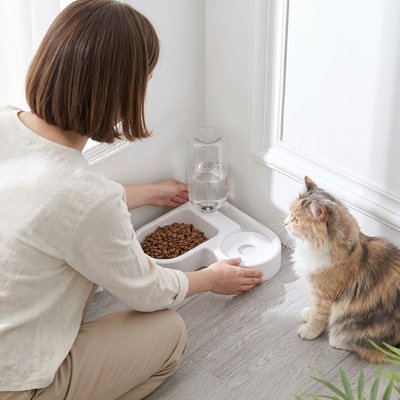 Gamelle Chat parfaite pour coin