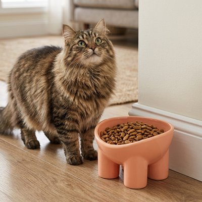 Gamelle Chat rose