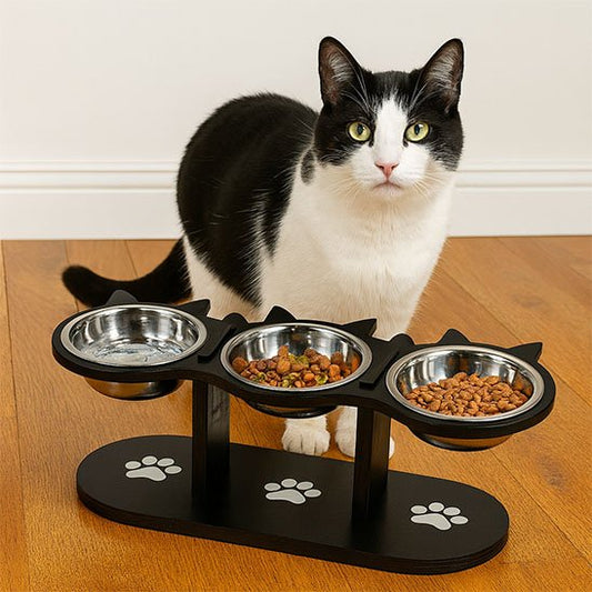 Gamelle Chat surélevée 1