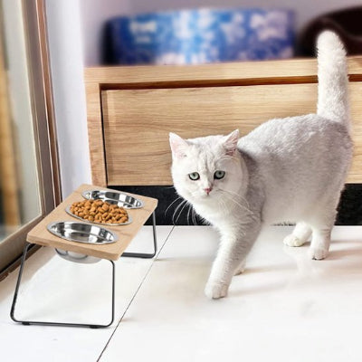 gamelle chat surélevée avec beau chat gris pale