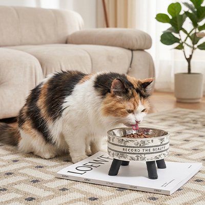 Gamelle Chat surélevée avec chat calico