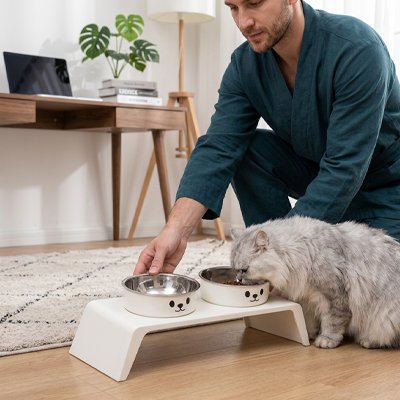 Gamelle Chat surélevée avec chat gris pale