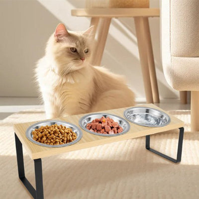 gamelle chat surélevée avec chat persan