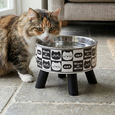 Gamelle Chat surélevée avec chat qui boit