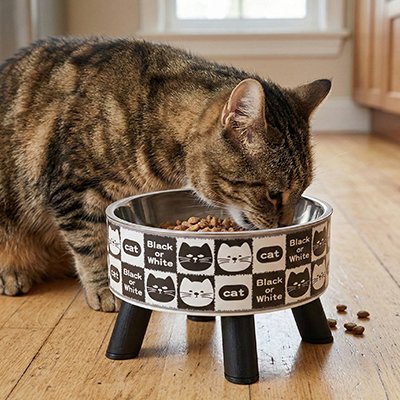 Gamelle Chat surélevée avec chat qui mange
