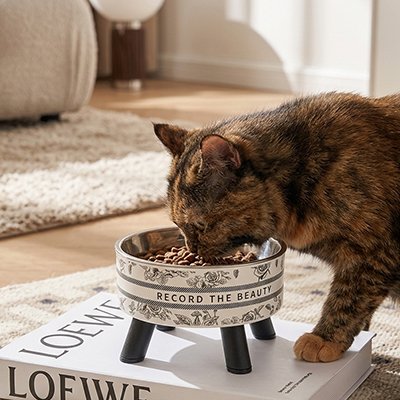 Gamelle Chat surélevée avec chat roux