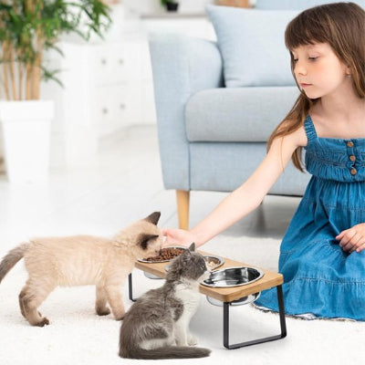 gamelle chat surélevée avec deux petits chats