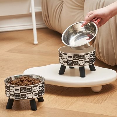 Gamelle Chat surélevée bol en acier inoxydable