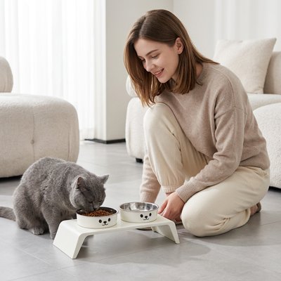 Gamelle Chat surélevée chat gris