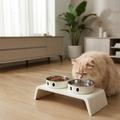 Gamelle Chat surélevée et chat roux pâle