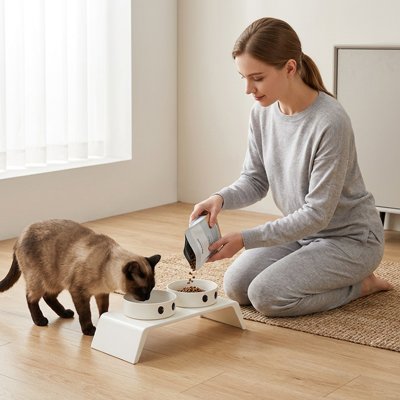 Gamelle Chat surélevée et chat siamois