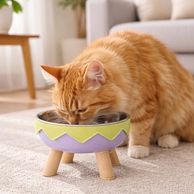 Gamelle chat surélevée jaune et violet