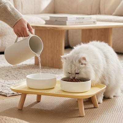 Gamelle Chat surélevée jaune