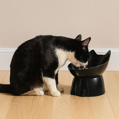 Gamelle Chat surélevée noir avec un chat noir et blanc