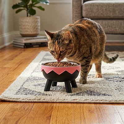Gamelle chat surélevée rose et noir